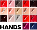 HANDS.webp