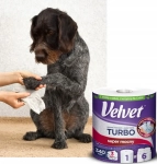 promo_6.webp